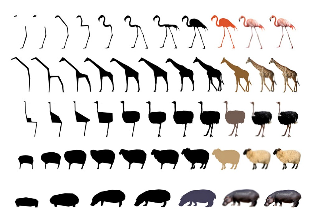 Form animals. Формы животных. Упрощенные животные. Фигуры животных упрощенно. Упрощение рисунка.